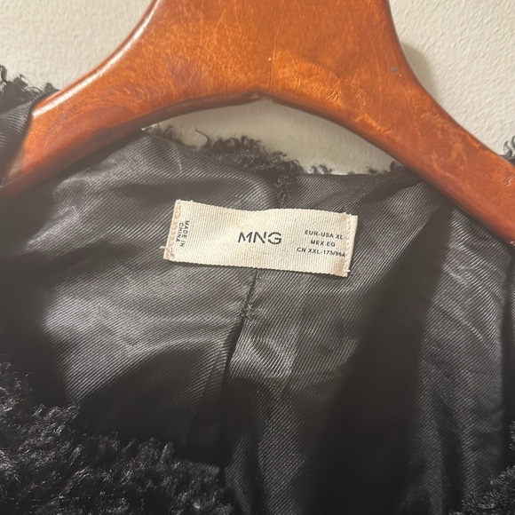 Mango Teddy - Picture 2 of 5